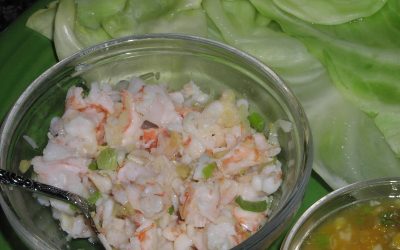 Easy Ginger Shrimp Wraps – HCG Phase 2