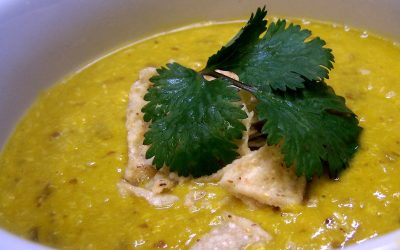 Chicken Tortilla Soup (Vita Mix)